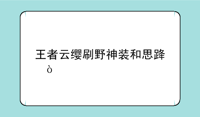 王者云缨刷野神装和思路