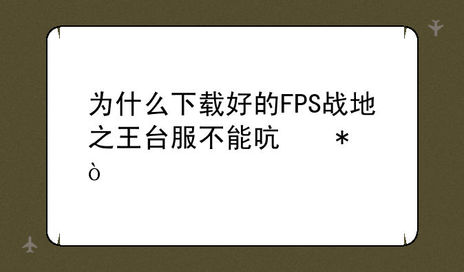 为什么下载好的FPS战地之王台服不能启动？