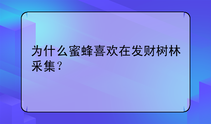为什么蜜蜂喜欢在发财树