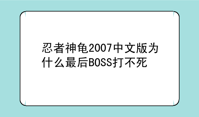 忍者神龟2007中文版为什么最后BOSS打不死