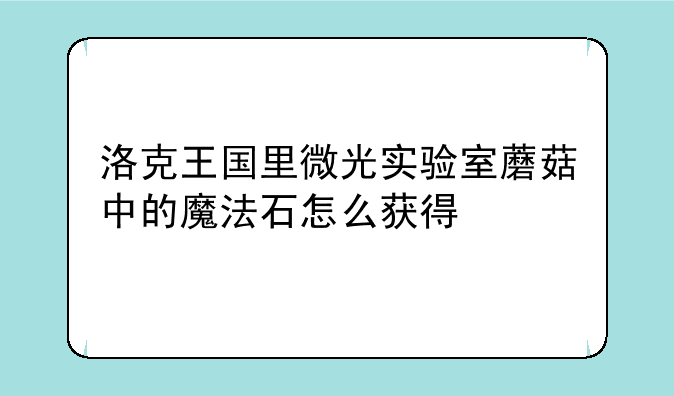 洛克王国里微光实验室蘑菇中的魔法石怎么获得