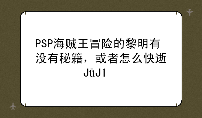 PSP海贼王冒险的黎明有没有秘籍，或者怎么快速转钱和sp点