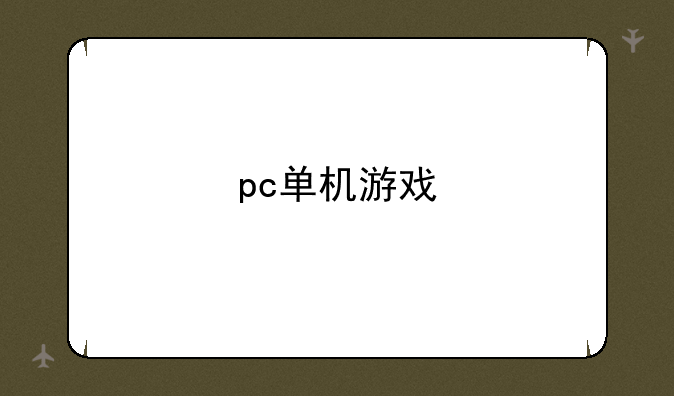 pc单机游戏