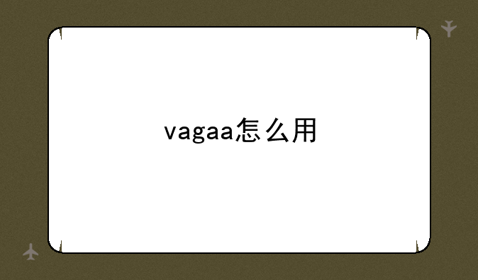 vagaa怎么用