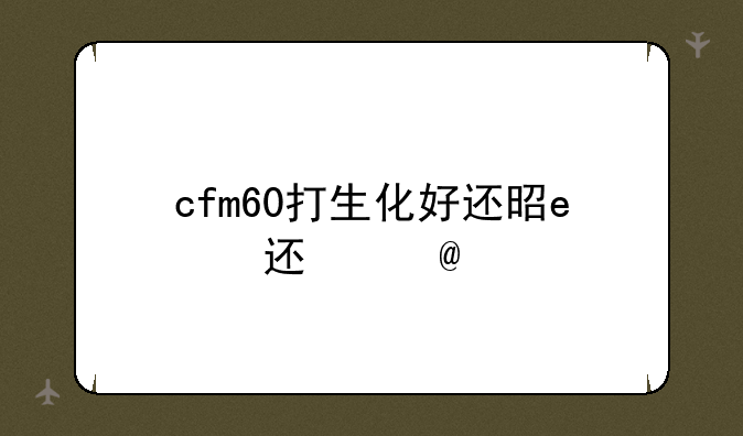 cfm60打生化好还是ak47打生化好?
