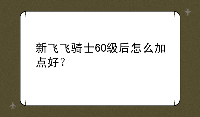 新飞飞骑士60级后怎么加点好？