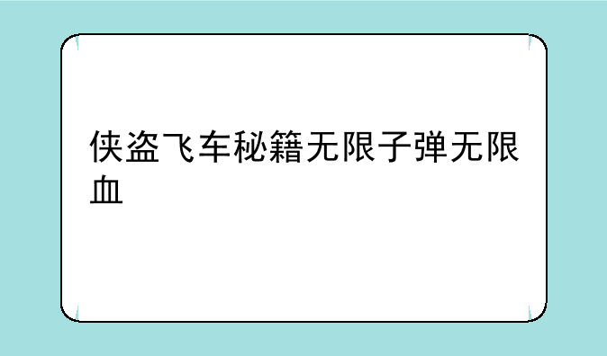 侠盗飞车秘籍无限子弹无限血