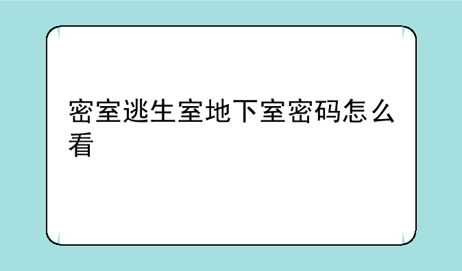 密室逃生室地下室密码怎么看