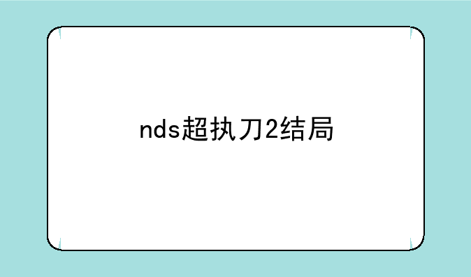 nds超执刀2结局